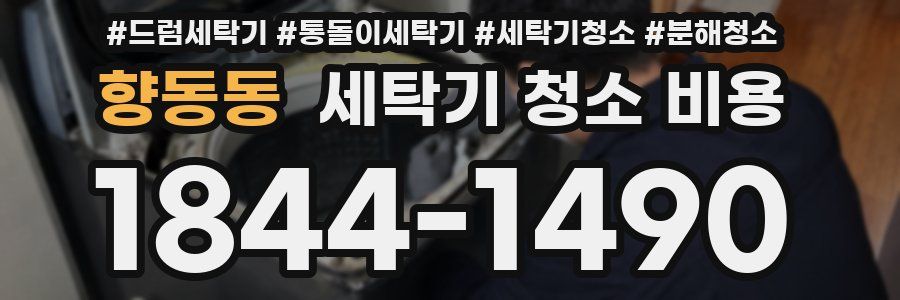향동동 세탁기 청소 비용