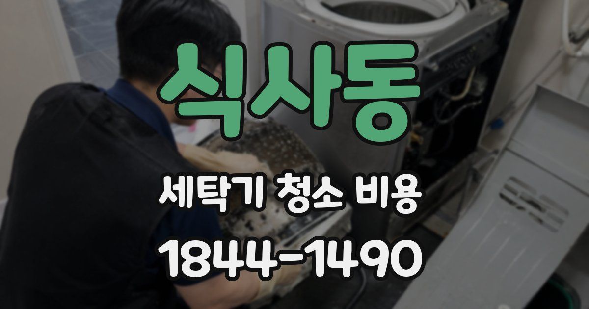 식사동 세탁기 청소 비용