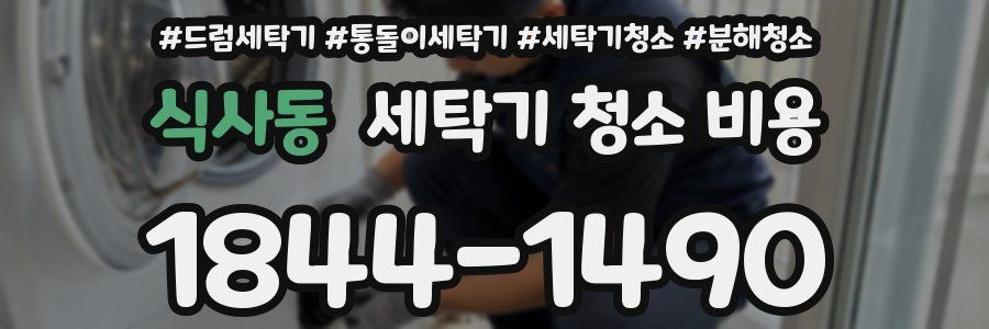 식사동 세탁기 청소 비용