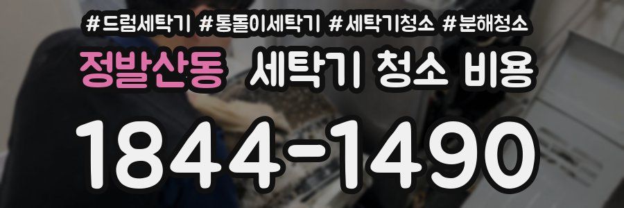 정발산동 세탁기 청소 비용