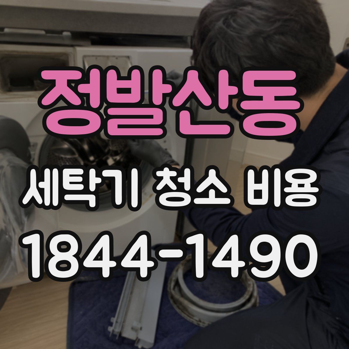 정발산동 세탁기 청소 비용