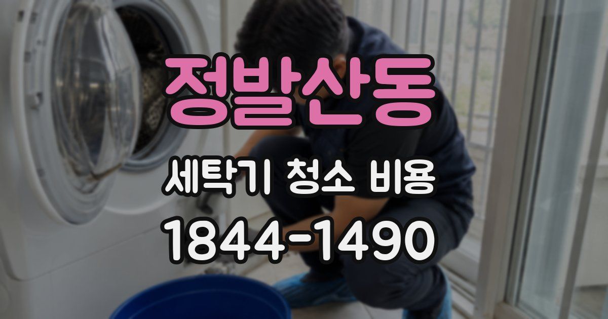 정발산동 세탁기 청소 비용