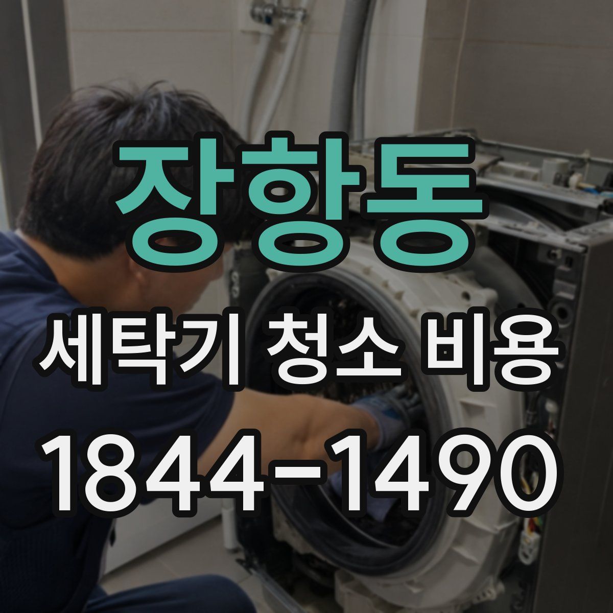 장항동 세탁기 청소 비용