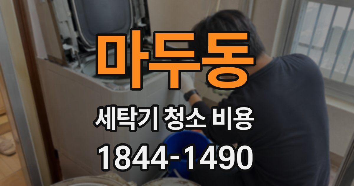 마두동 세탁기 청소 비용