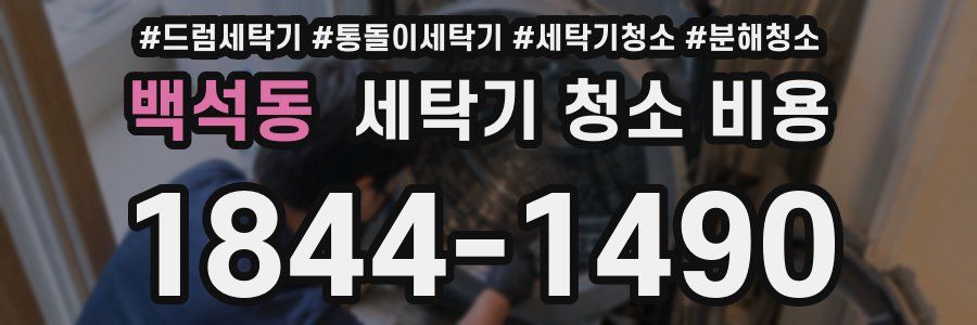 백석동 세탁기 청소 비용