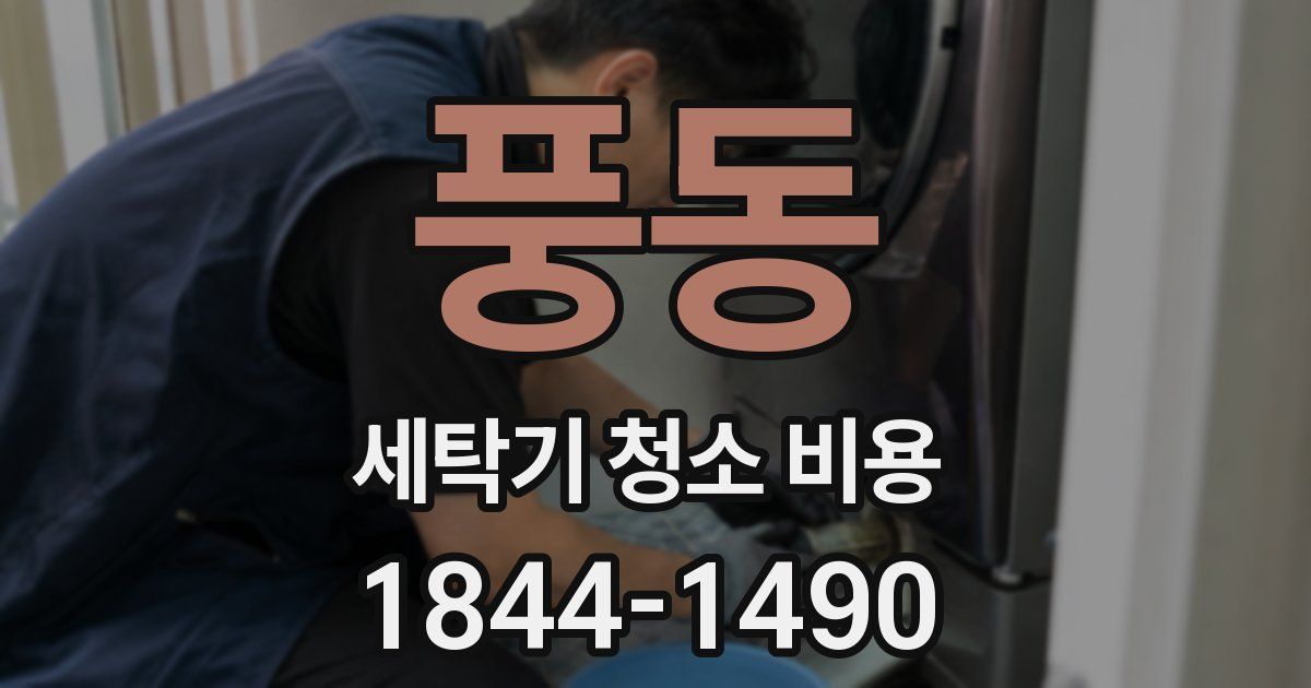 풍동 세탁기 청소 비용