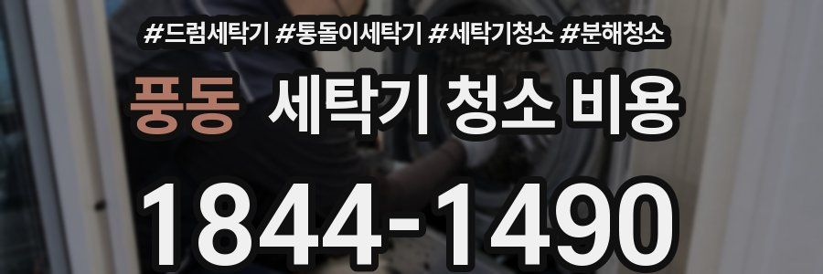 풍동 세탁기 청소 비용