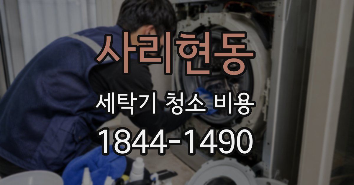 사리현동 세탁기 청소 비용