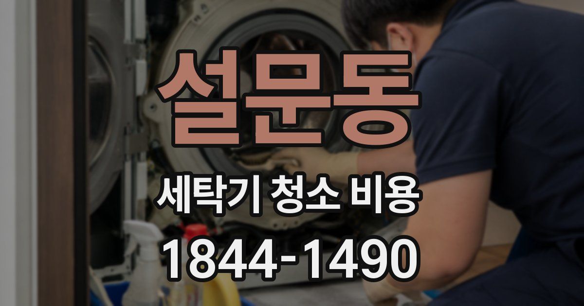 설문동 세탁기 청소 비용