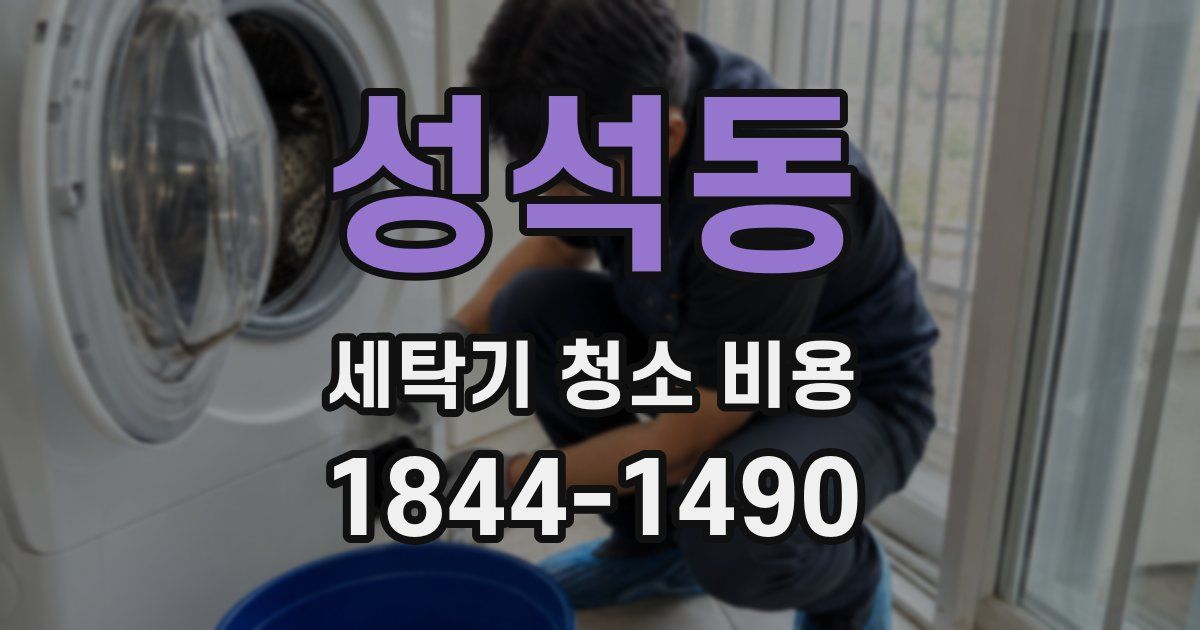 성석동 세탁기 청소 비용
