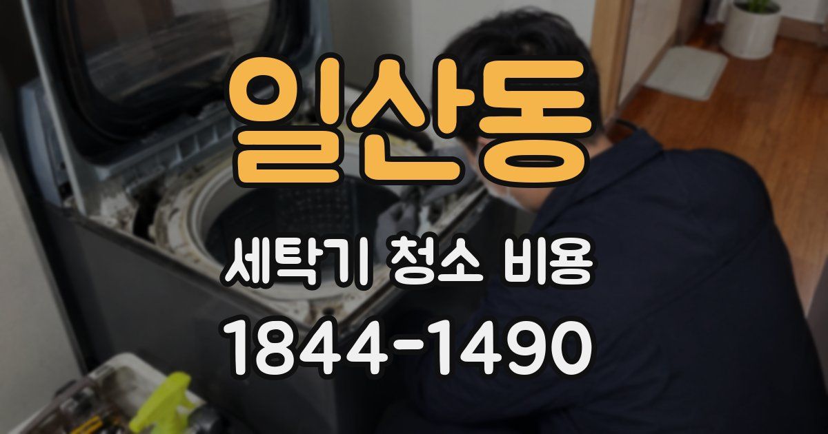 일산동 세탁기 청소 비용