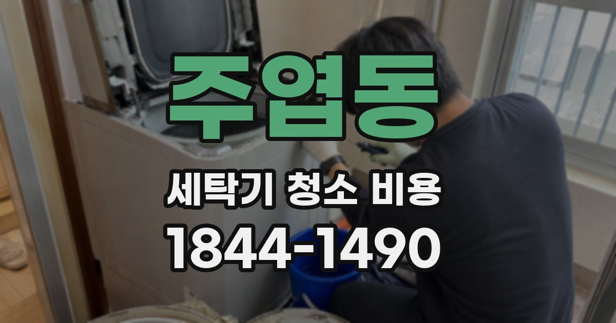 주엽동 세탁기 청소 비용