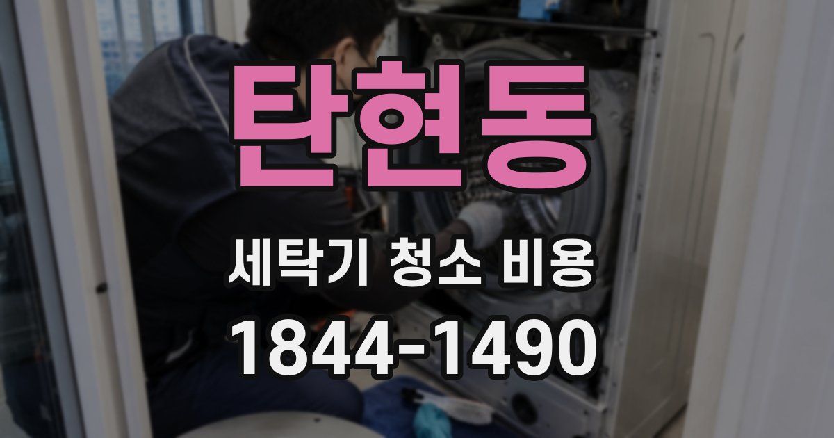 탄현동 세탁기 청소 비용
