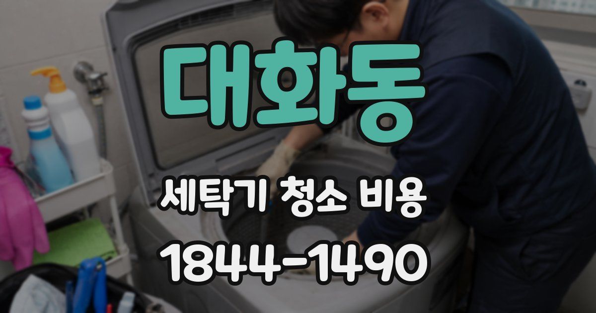 대화동 세탁기 청소 비용
