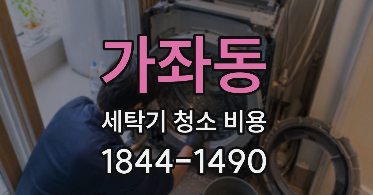 가좌동 세탁기 청소 비용