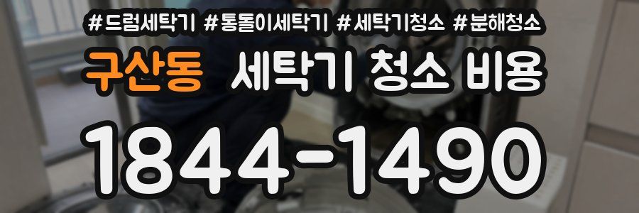구산동 세탁기 청소 비용