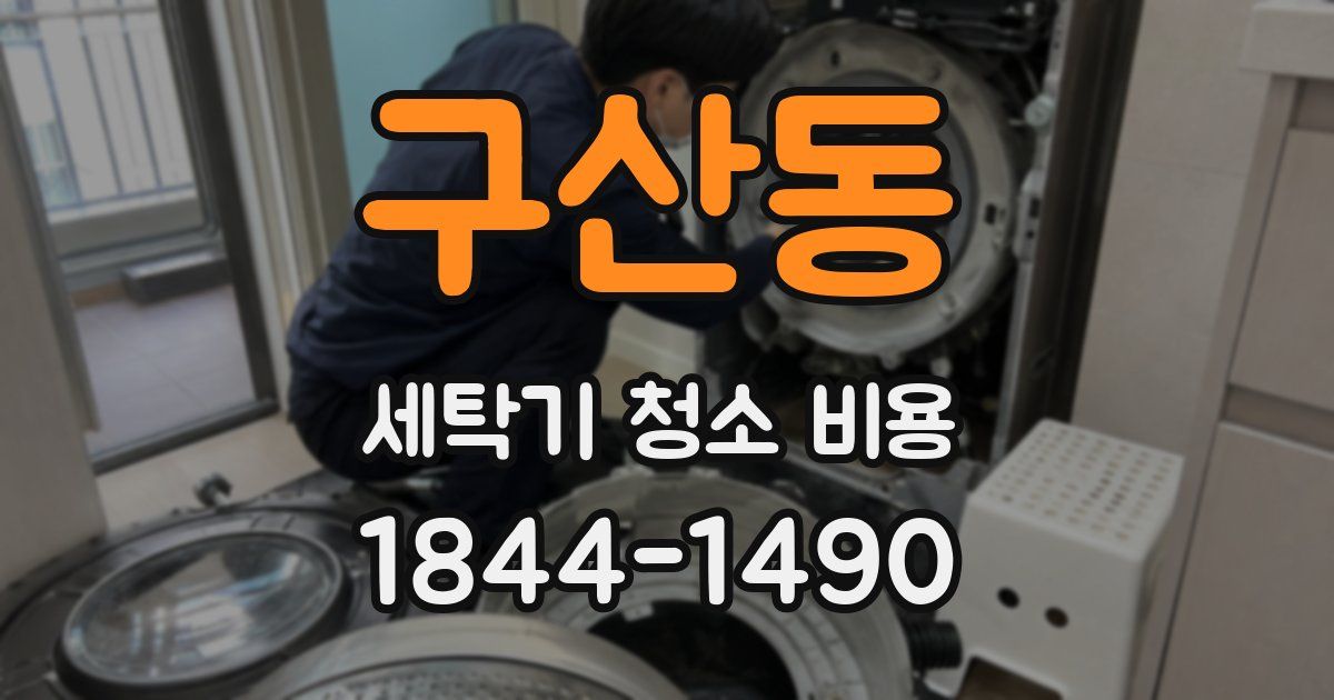 구산동 세탁기 청소 비용