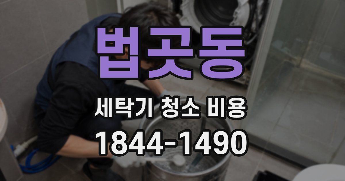 법곳동 세탁기 청소 비용