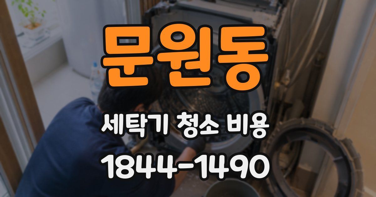 문원동 세탁기 청소 비용