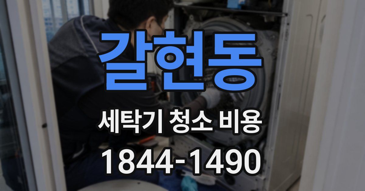 갈현동 세탁기 청소 비용