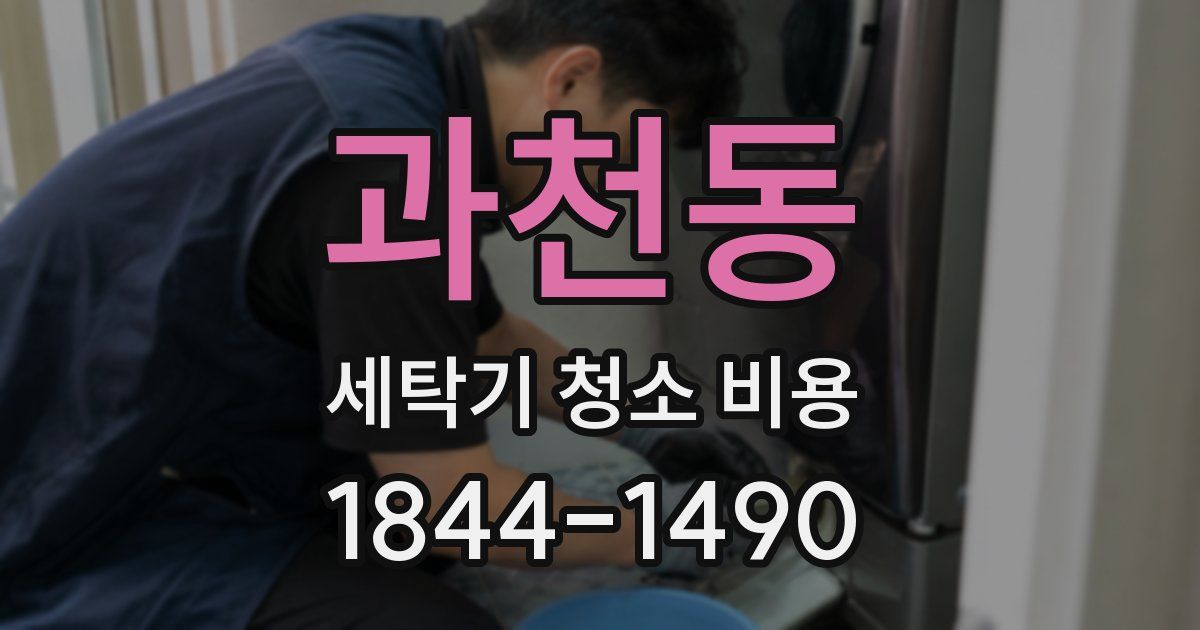 과천동 세탁기 청소 비용
