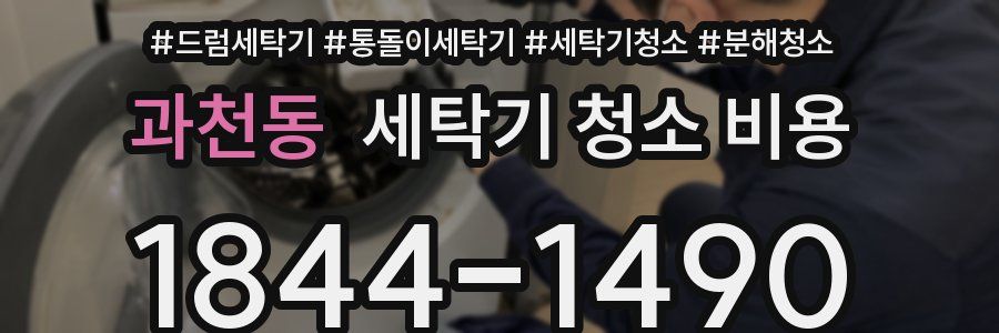 과천동 세탁기 청소 비용