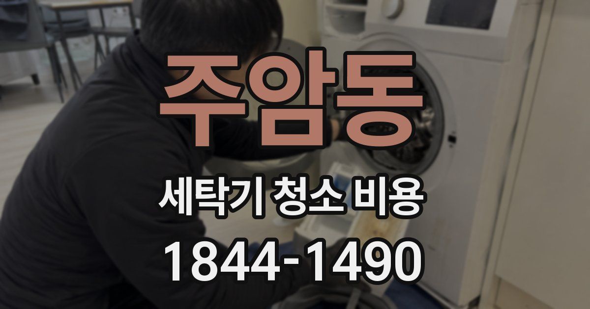 주암동 세탁기 청소 비용