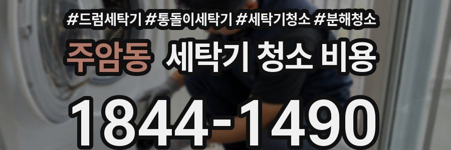 주암동 세탁기 청소 비용