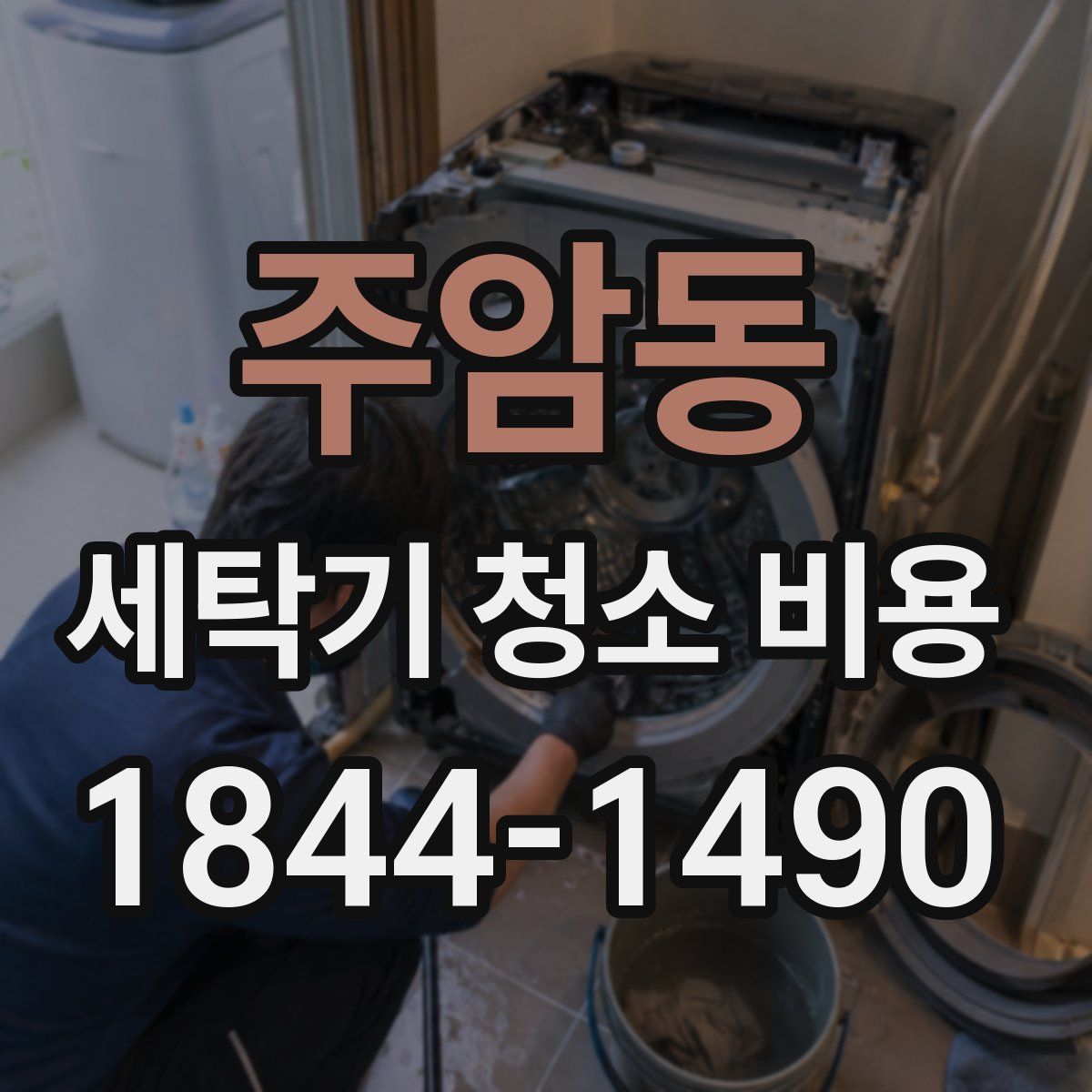 주암동 세탁기 청소 비용