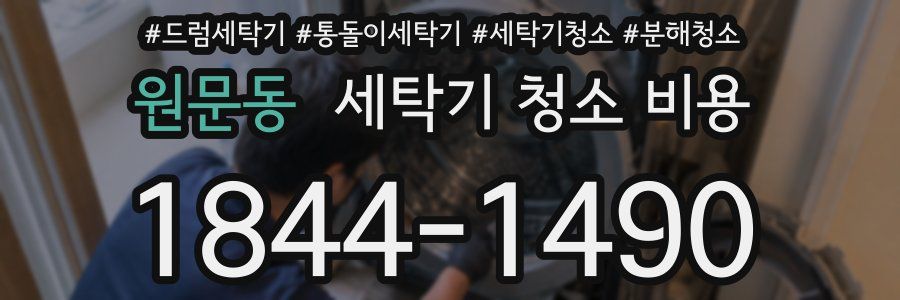 원문동 세탁기 청소 비용