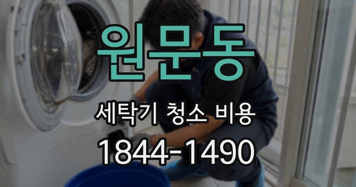 원문동 세탁기 청소 비용