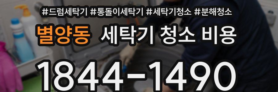 별양동 세탁기 청소 비용