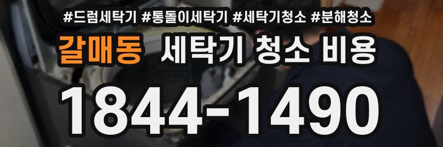 갈매동 세탁기 청소 비용