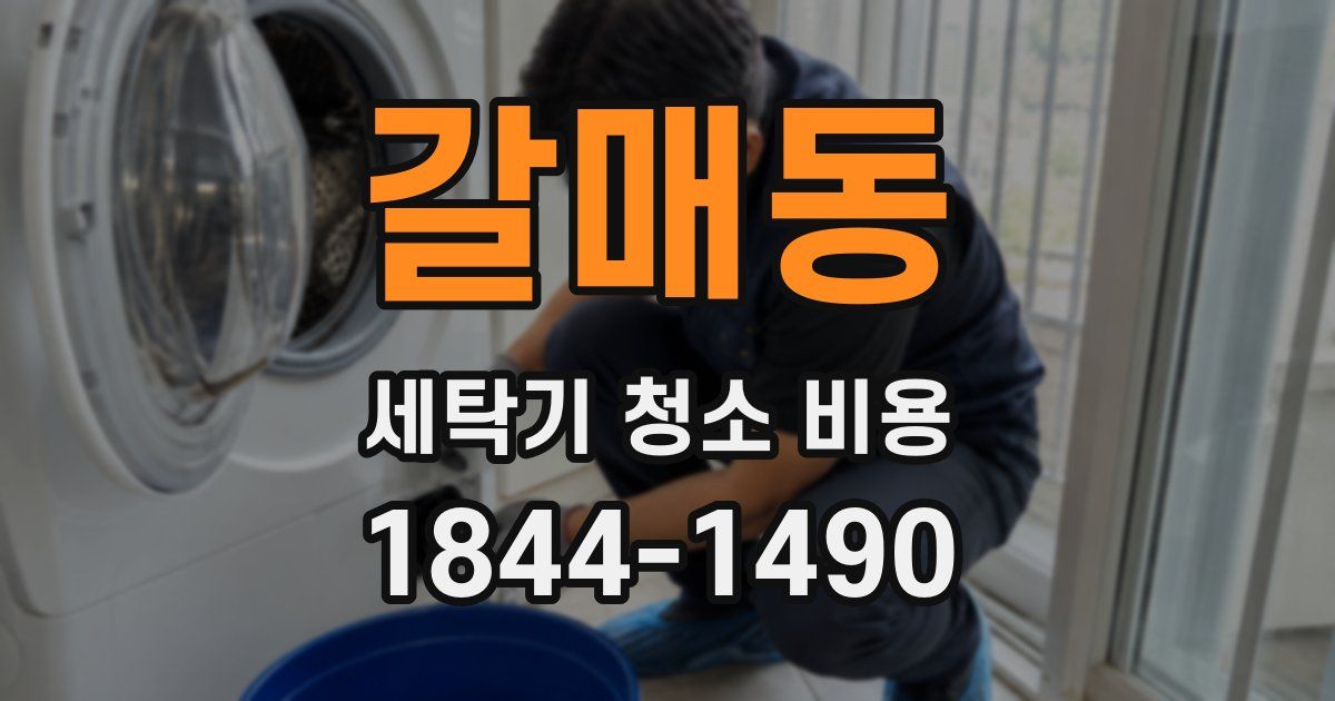 갈매동 세탁기 청소 비용