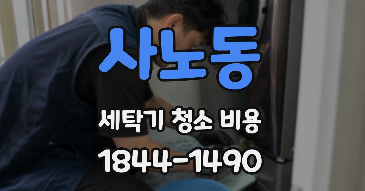 사노동 세탁기 청소 비용