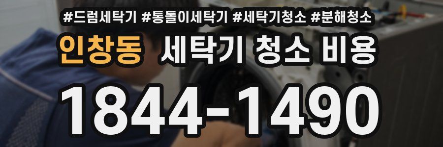 인창동 세탁기 청소 비용