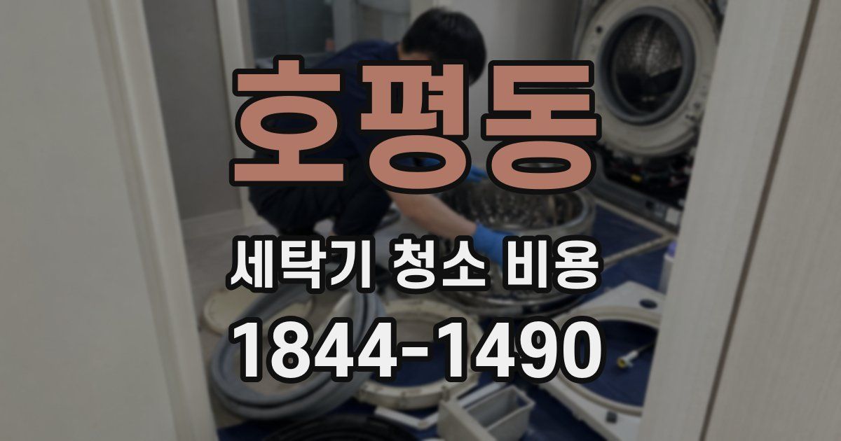 호평동 세탁기 청소 비용