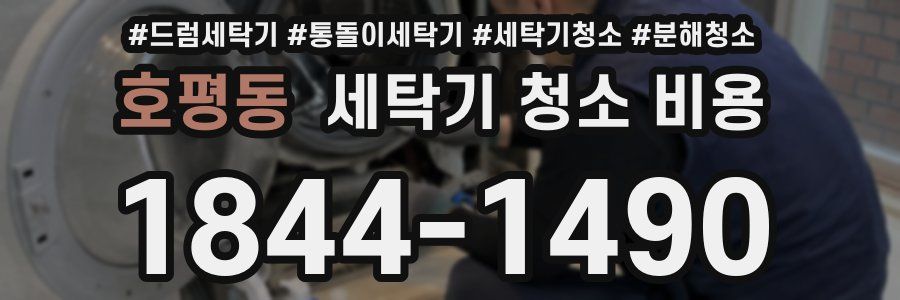 호평동 세탁기 청소 비용