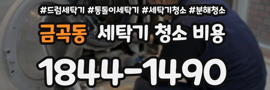 금곡동 세탁기 청소 비용