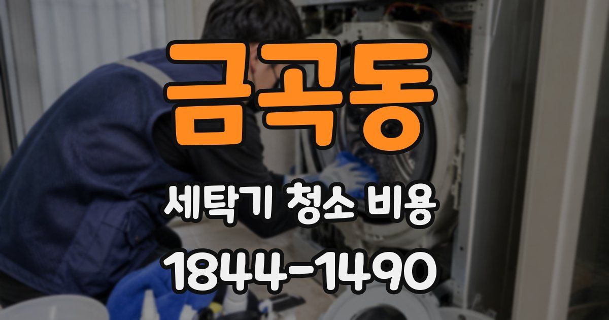 금곡동 세탁기 청소 비용