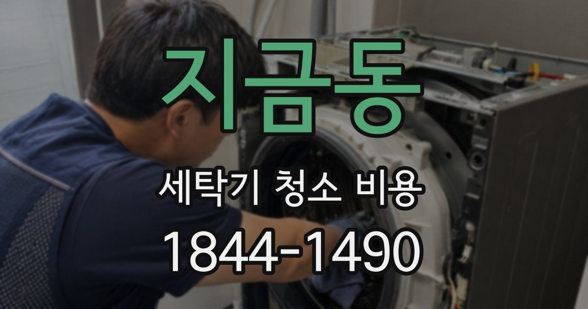 지금동 세탁기 청소 비용