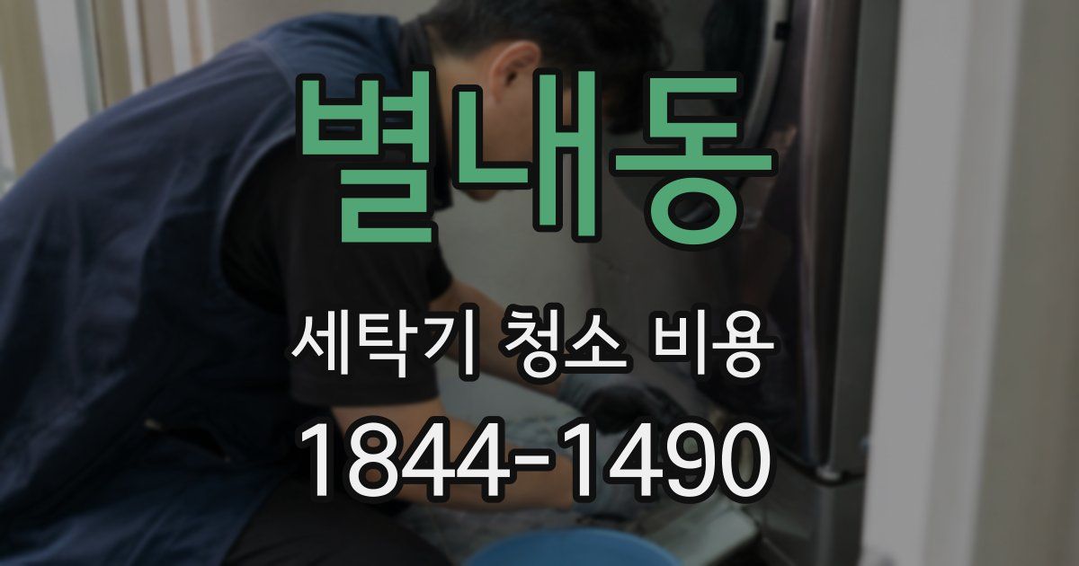 별내동 세탁기 청소 비용