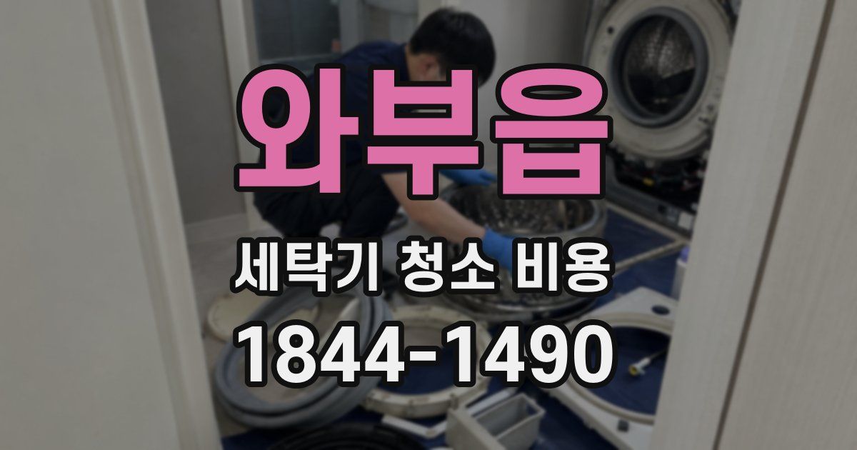 와부읍 세탁기 청소 비용