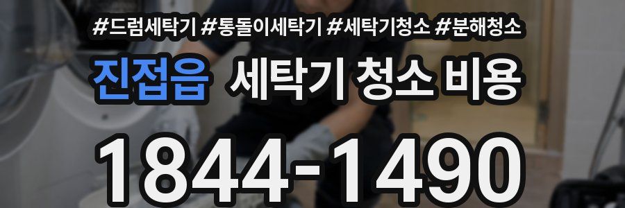 진접읍 세탁기 청소 비용