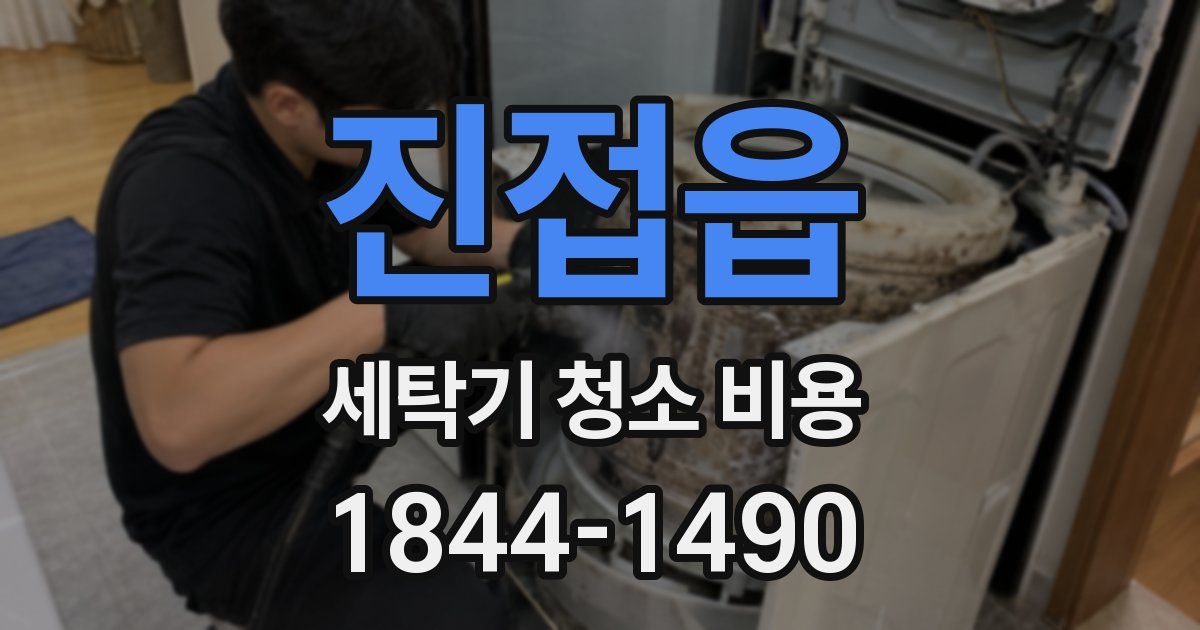 진접읍 세탁기 청소 비용
