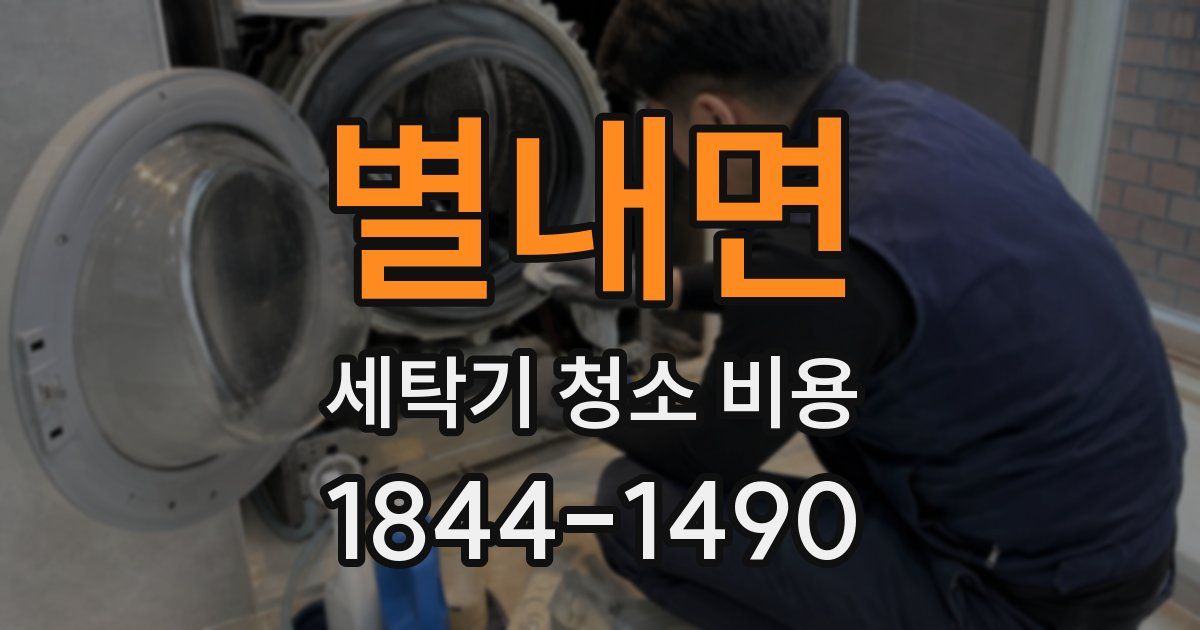 별내면 세탁기 청소 비용