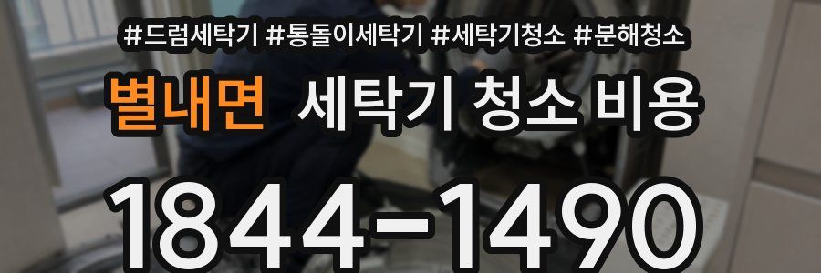 별내면 세탁기 청소 비용