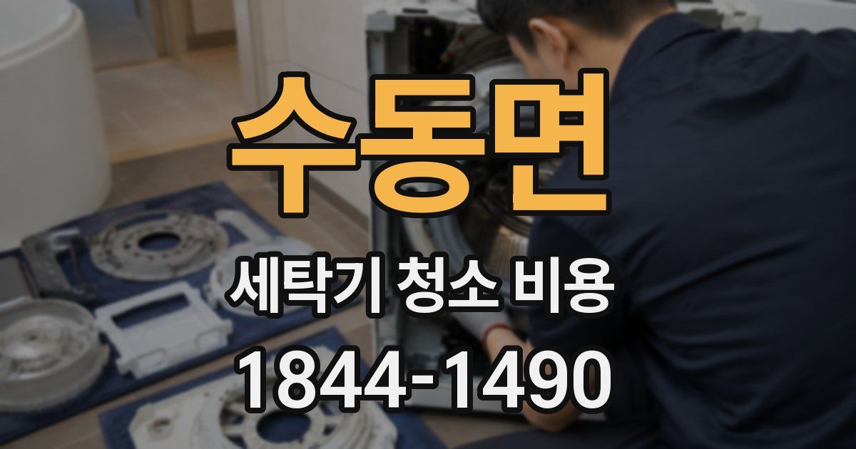 수동면 세탁기 청소 비용