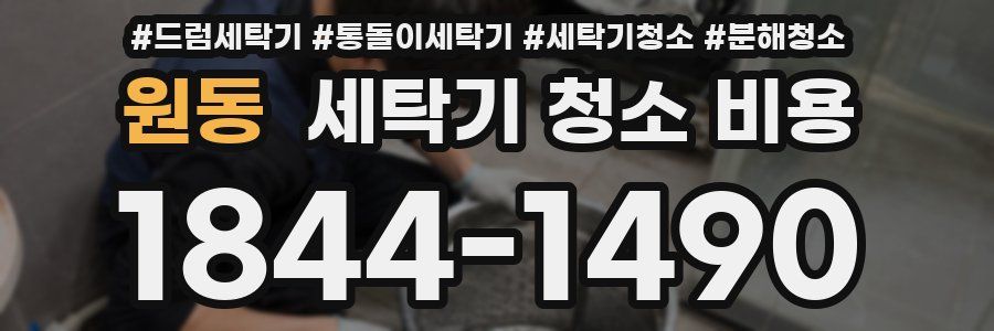 원동 세탁기 청소 비용