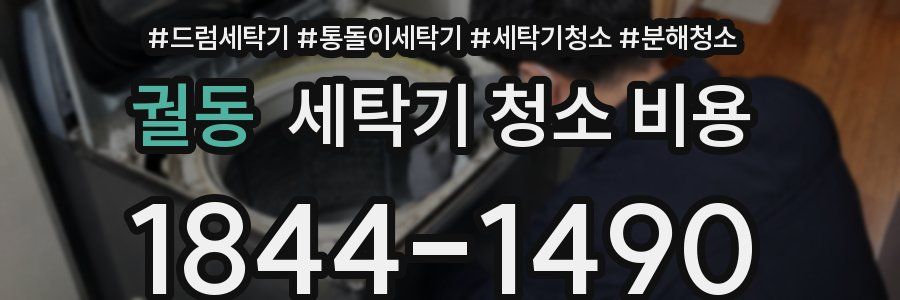 궐동 세탁기 청소 비용